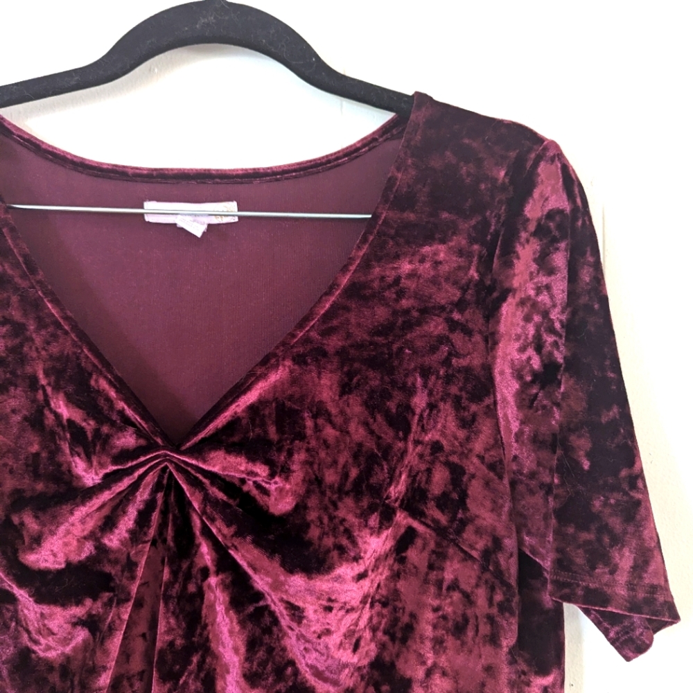 Wesport 1962 Maroon Velvet Dress